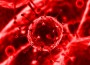 virus