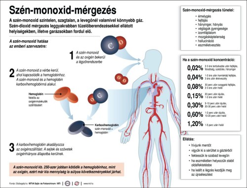 A szén-monoxid hatása az emberi szervezetre, a mérgezés tünetei, a koncentrációk hatásai (infografika: MTI)