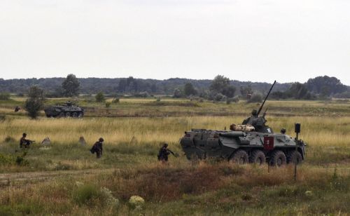 Fokozottan védett fajok menedéke az aktív katonai lőtér