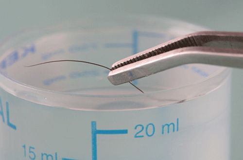 FBI: hajsza a hajszakértők után