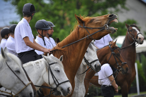 Hajdúhadház, 2015. május 23. Lovas polgárőrök a IV. Országos Polgárőr Lovas Szemlén Hajdúhadházon 2015. május 23-án. MTI Fotó: Czeglédi Zsolt