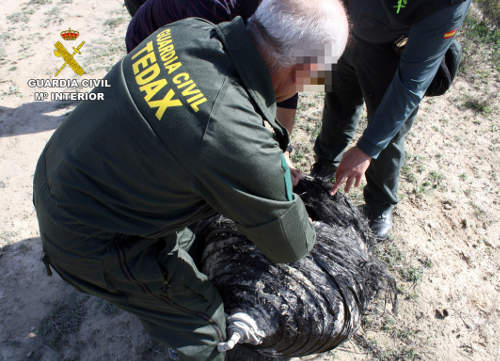 Spanyolországba csak Űrszemétesernyővel menjünk!