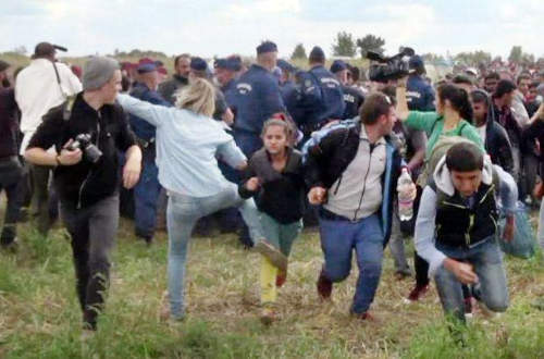 Garázdasággal vádolták meg a rugdosódó operatőrnőt