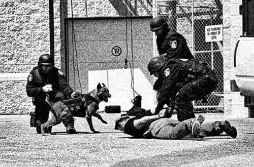 Szabadlábra helyezik a Németországban terrorgyanú miatt elfogott menedékkérőt