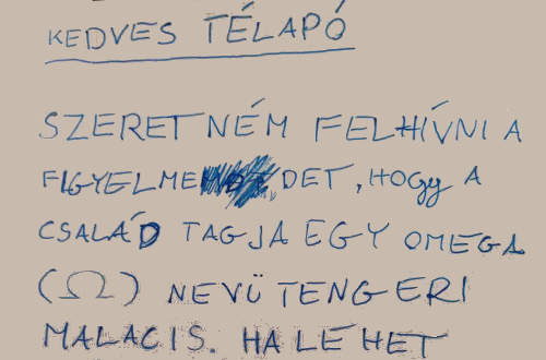 Ab: a gyermek érdekében a levéltitok is korlátozható