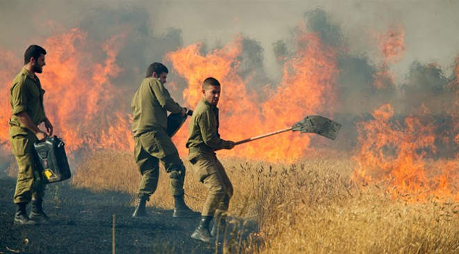 Madarakat is használnak a gázai palesztin szélsőségesek arra, hogy tüzet okozzanak Izraelben