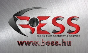 Black Eyes Security & Service)